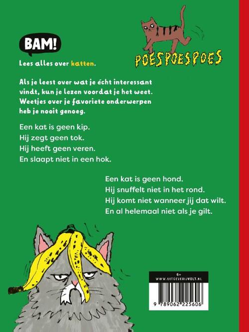 Een kat is geen kip