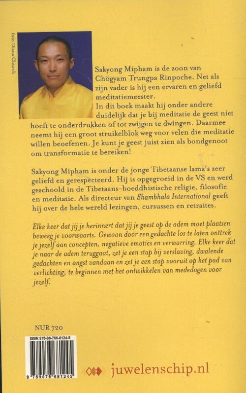 Je geest als bondgenoot