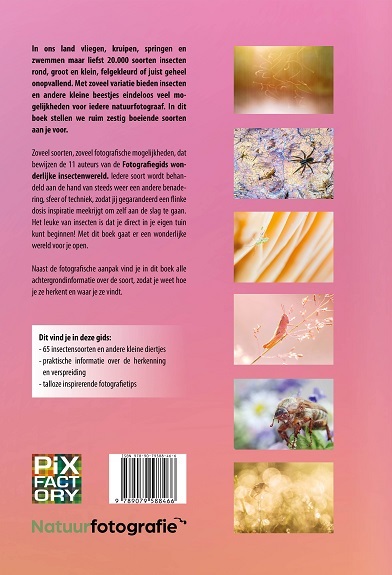 Fotografiegids wonderlijke insectenwereld