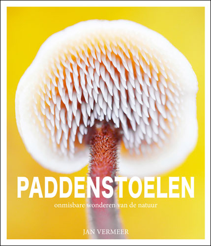 Paddenstoelen