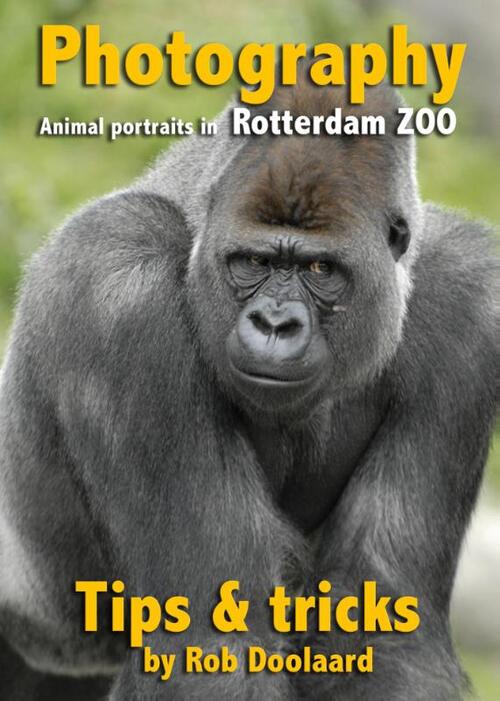 Photography: animal portraits in the ZOO