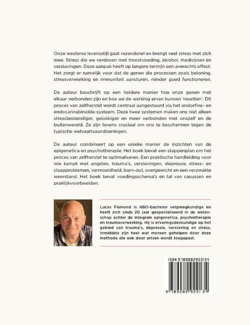 Het endorfine herstelplan