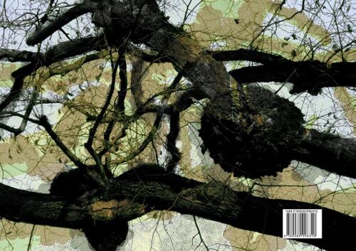 De betovering van de kijkdoos