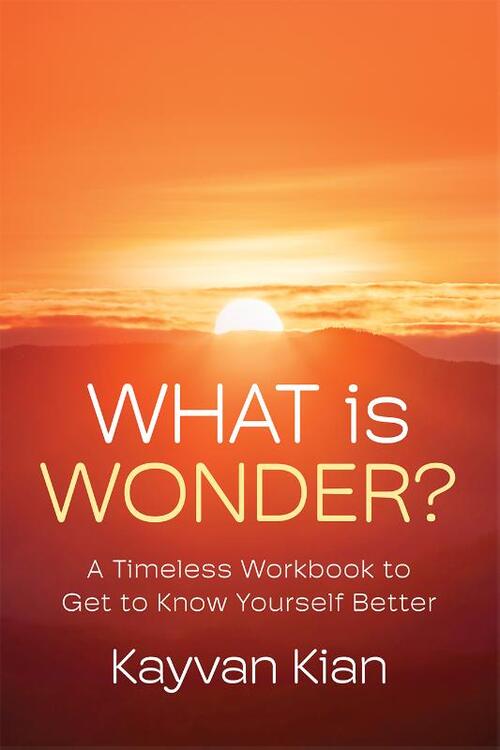 What Is Wonder?