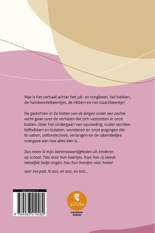 De botten van de dingen onder een zachte vacht