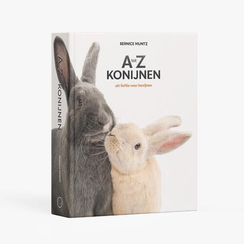 A tot Z konijnen