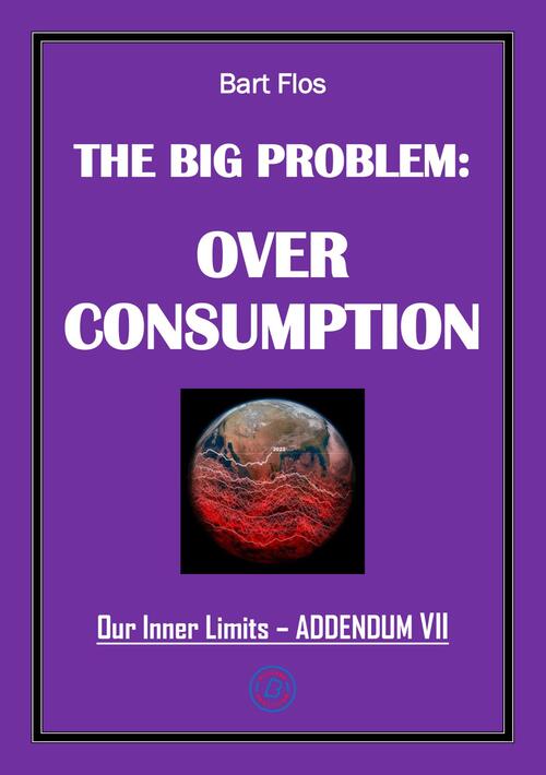 The Big Problem: Overconsumption