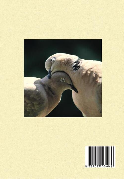 Ultrakort en op alfabet