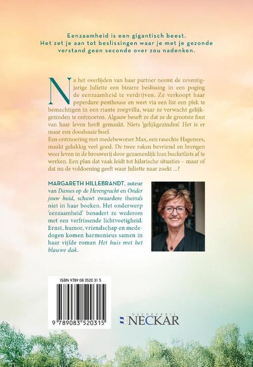 Het huis met het blauwe dak