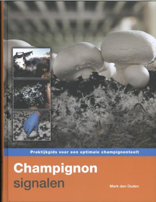 Champignonsignalen