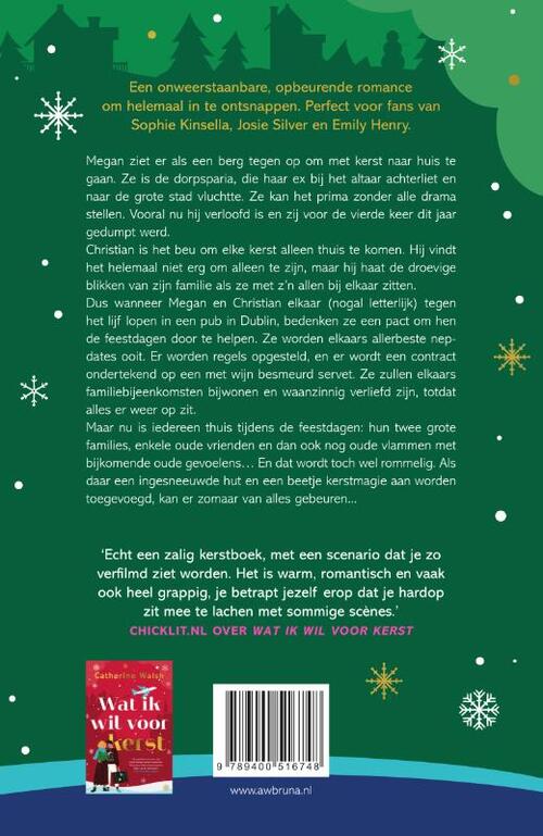 Ingesneeuwd met kerst