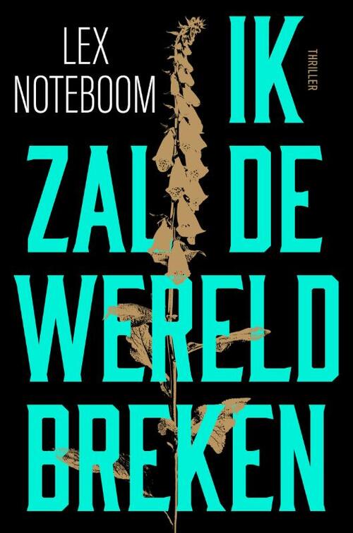 Ik zal de wereld breken