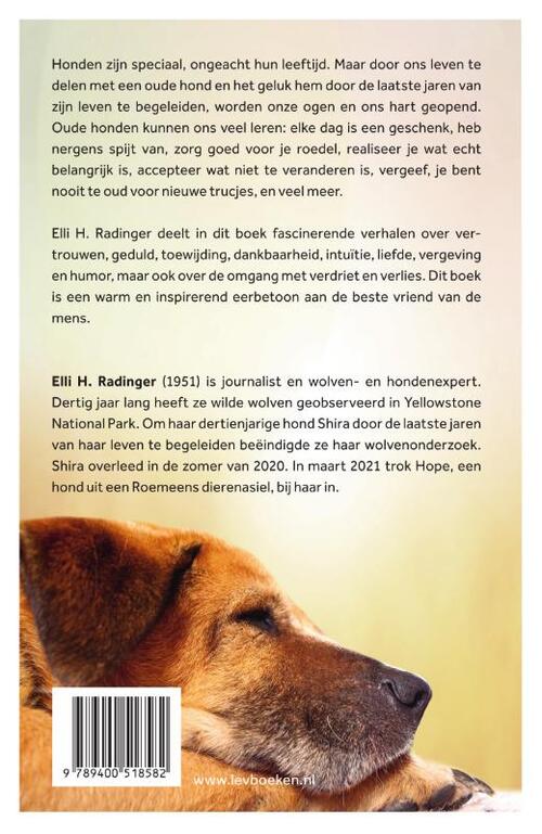 Oude wijze honden