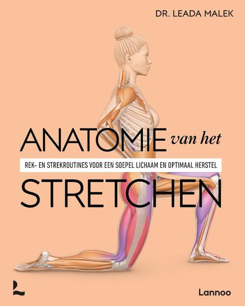 Anatomie van het stretchen