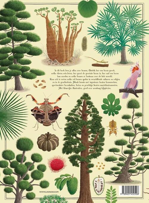Het grote bomenboek