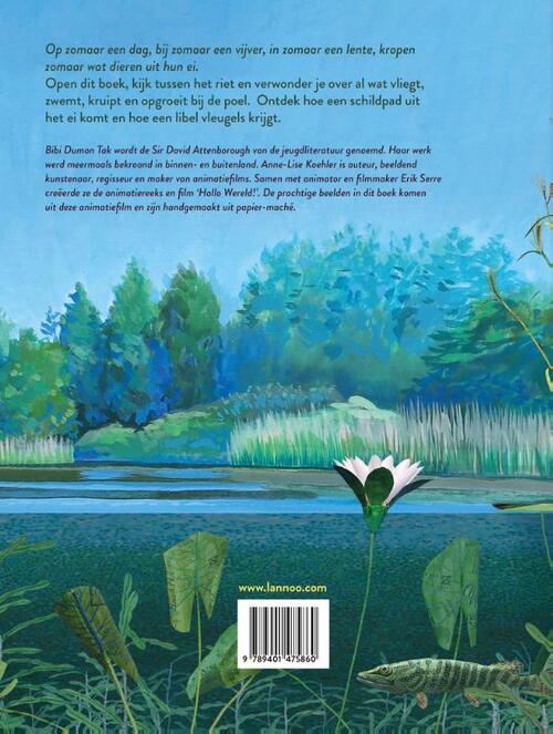 Zomaar een dag, bij zomaar een vijver