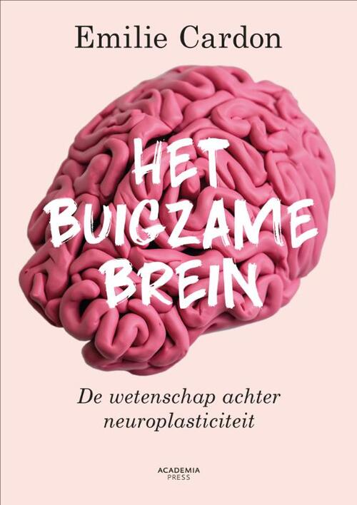 Het buigzame brein