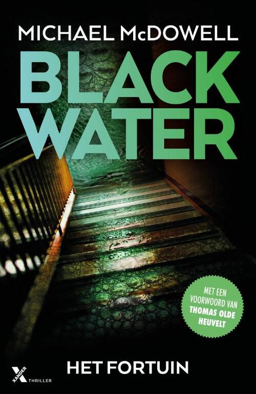 Blackwater 5 - Het fortuin