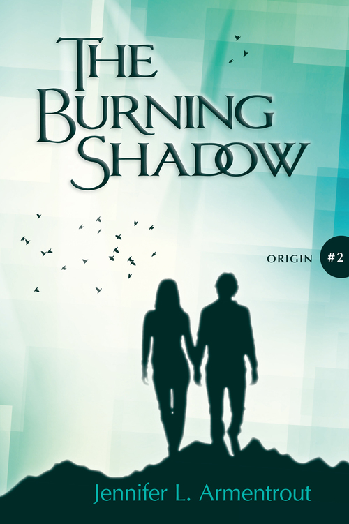 The Burning Shadow #2 Origin