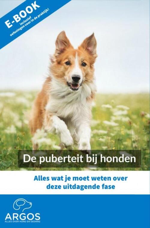 De puberteit bij honden