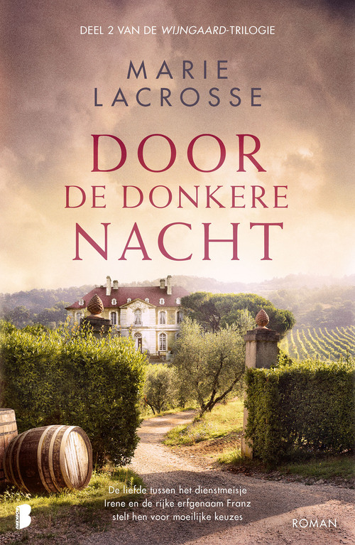 Wijngaard 2 - Door de donkere nacht