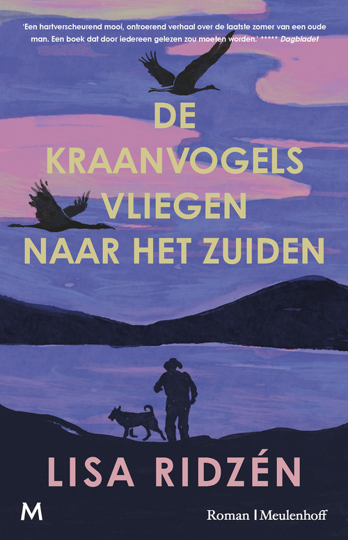 De kraanvogels vliegen naar het zuiden
