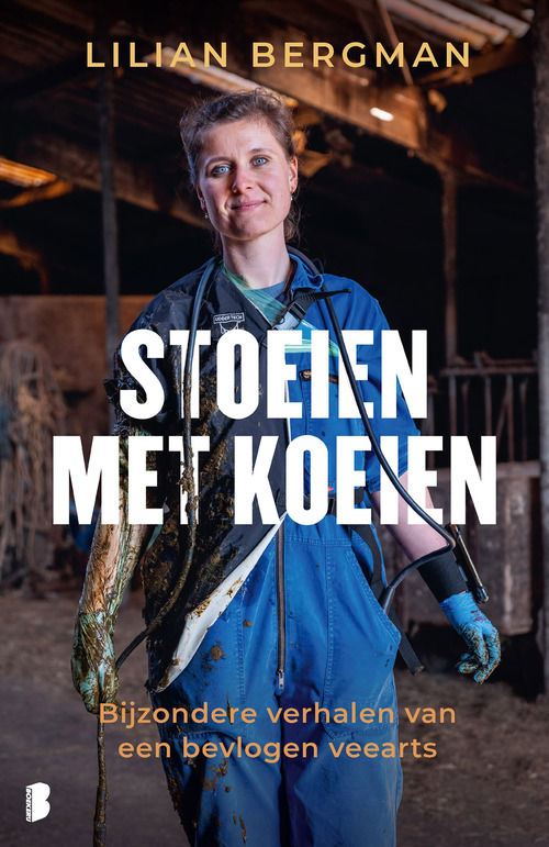Stoeien met koeien