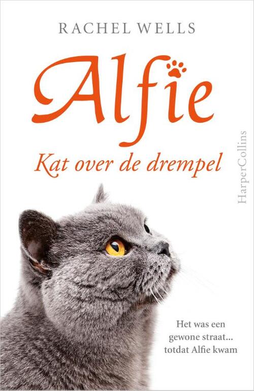 Alfie - Kat over de drempel