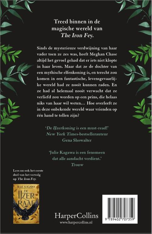 The Iron Fey 1 - De IJzerkoning