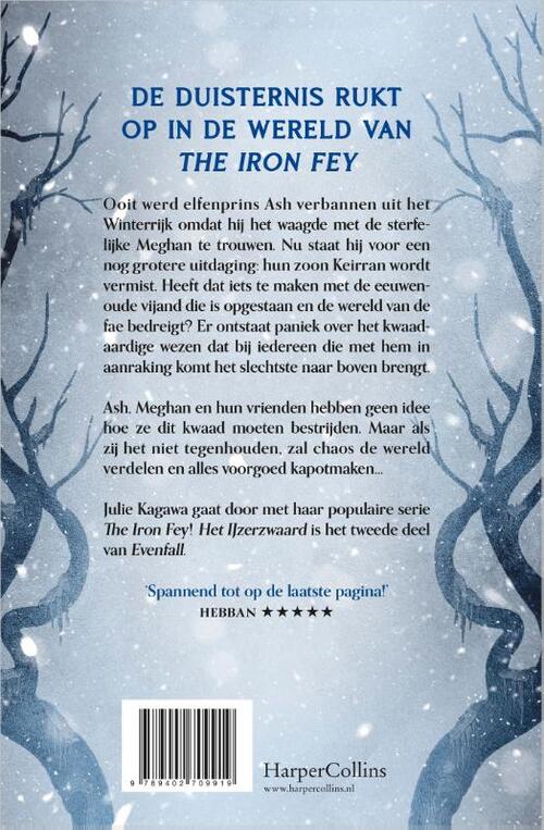 The Iron Fey: Evenfall 2 - Het IJzerzwaard