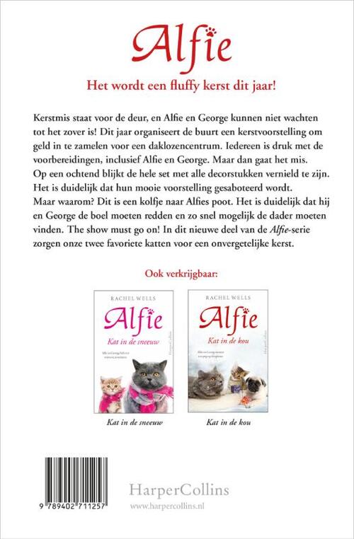 Kat onder de kerstboom