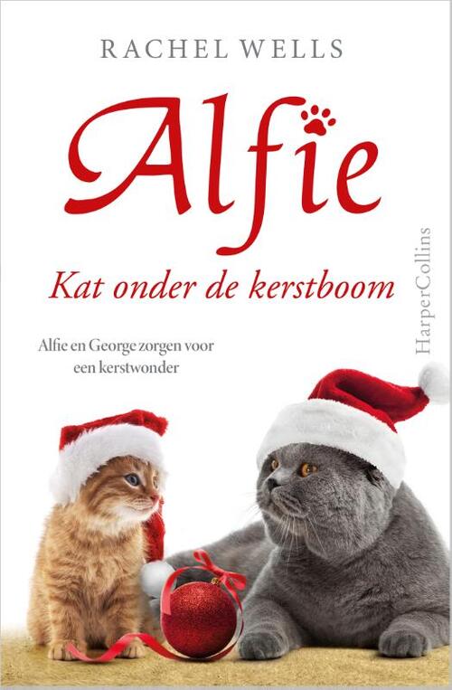 Kat onder de kerstboom