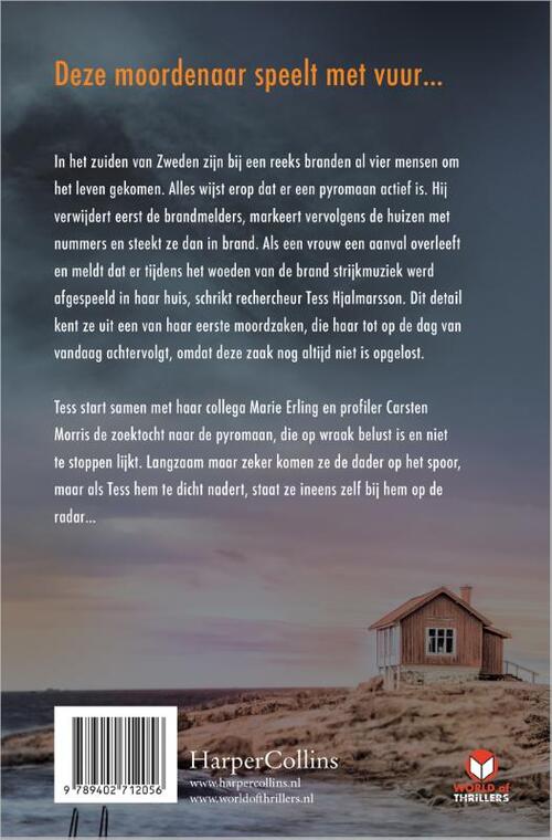 Cold Case  2 - Vagevuur