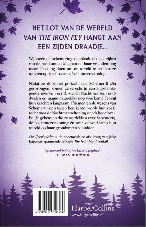 The Iron Fey 3 - De IJzerbelofte