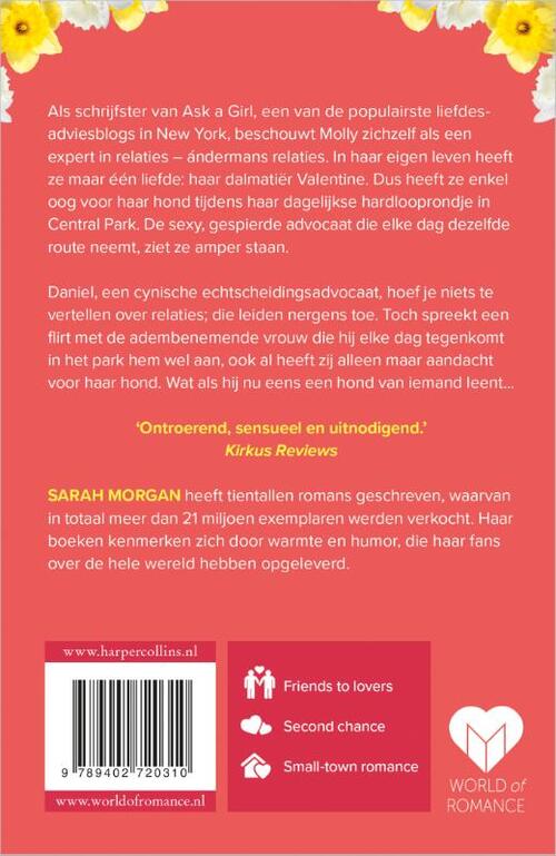 Dromen in de ochtendzon