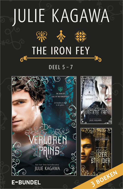 The Iron Fey 5 - 7 - De verloren prins - De duistere fae - De IJzerstrijder