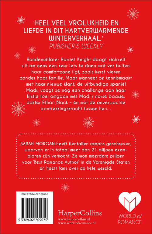 Sneeuw boven New York