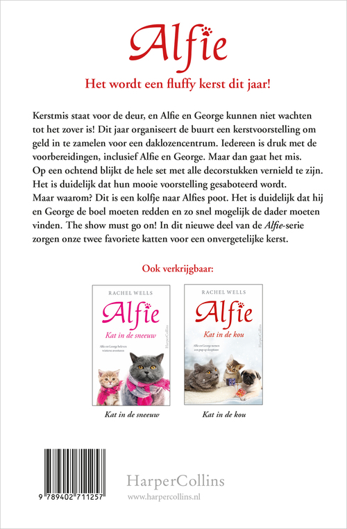 Kat onder de kerstboom