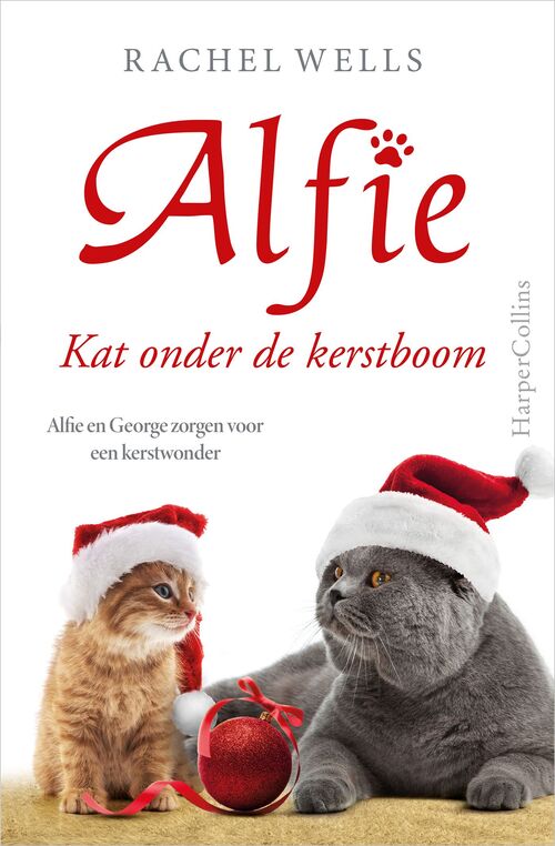 Kat onder de kerstboom