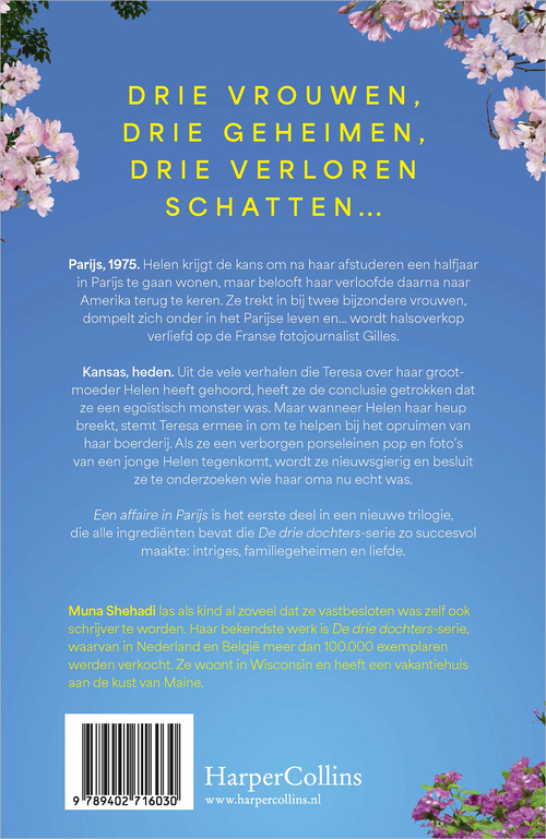 Verloren schatten 2 - Een affaire in Parijs