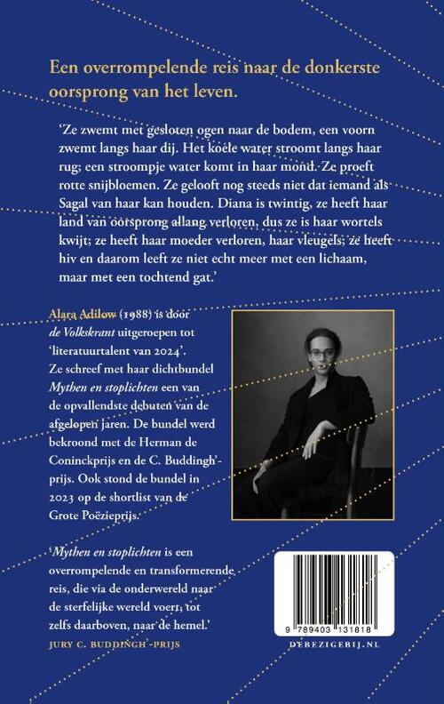 Kijk es naar al dat licht