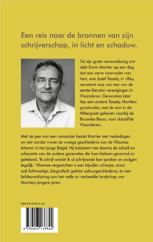 Vlaamse vergezichten