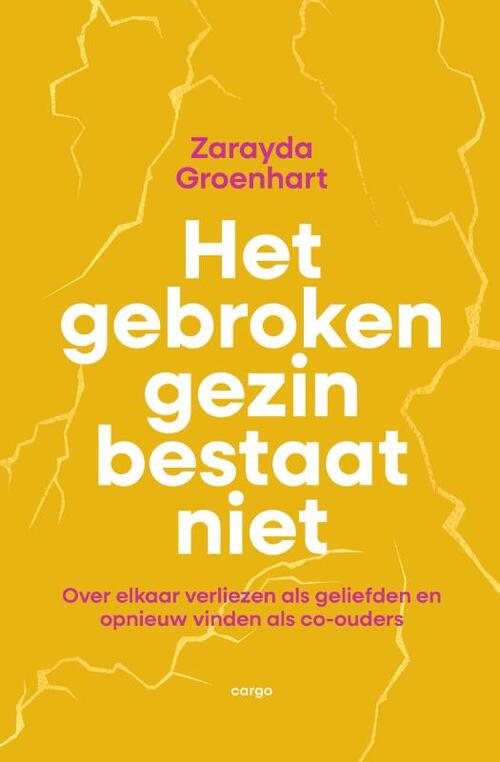 Het gebroken gezin bestaat niet