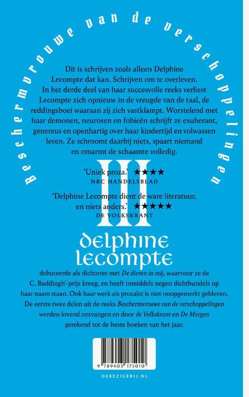 Beschermvrouwe van de verschoppelingen