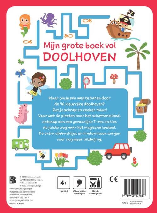 Mijn grote boek vol doolhoven