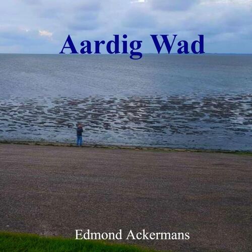 Aardig Wad