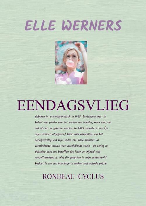 Eendagsvlieg II