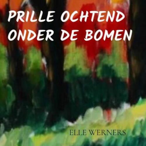 Prille Ochtend Onder De Bomen