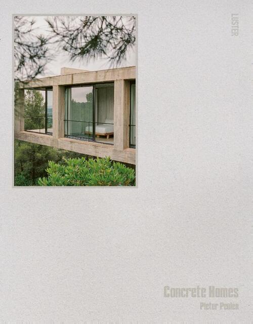 Brutalist homes