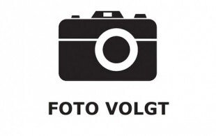 Rabaut, prediker van de Hugenoten